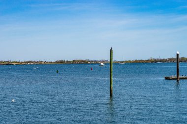 Büyük liman, Staten Island Ny bizi öldürür.