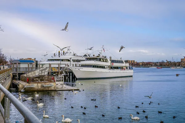 Sheepshead Bay, Brooklyn, US - Ocean Avenue Footbridge. — Stock Photo, Image