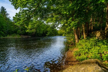 Guymard Turnpike yakınlarındaki Neversink Nehri'nin bir parçası, Catskills Delaware Nehri Benzersiz Alanı kolu, Ny.