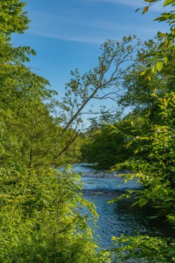 Guymard Turnpike yakınlarındaki Neversink Nehri'nin bir parçası, Catskills Delaware Nehri Benzersiz Alanı kolu, Ny.