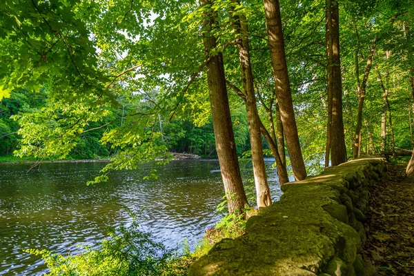 Egy része a Neversink folyó közelében Guymard Turnpike, mellékfolyója a Delaware folyó egyedülálló terület a Catskills, NY. — Stock Fotó