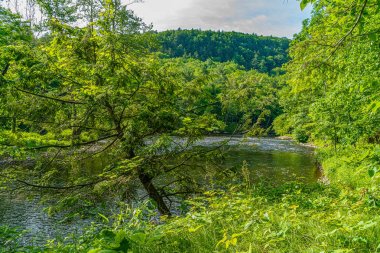 Guymard Turnpike yakınlarındaki Neversink Nehri'nin bir parçası, Catskills Delaware Nehri Benzersiz Alanı kolu, Ny.