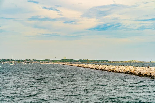 Provins Marina Vågbrytare Fåglar Provincetown — Stockfoto