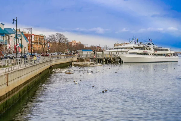 Sheepshead Bay Brooklyn Ocean Avenue Footbridge — 图库照片