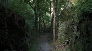 Engebeli uçurumlar ve yeşil ağaçlar arasında insansız hava aracı uçuşu. Güneş ışığı gölgelere gölge düşürüyor. Gökyüzünden doğaya sakin ve sinematik bir bakış..