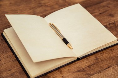Yazılı olacak en iyi hikayeler için bir not defteri