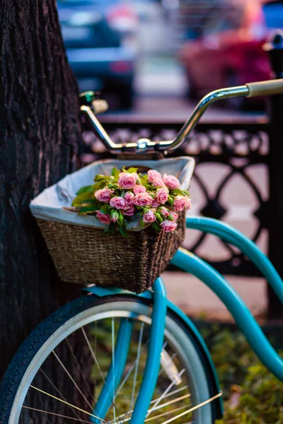 The morning bunch of roses in the bicycle basket for a really good lady`s morning