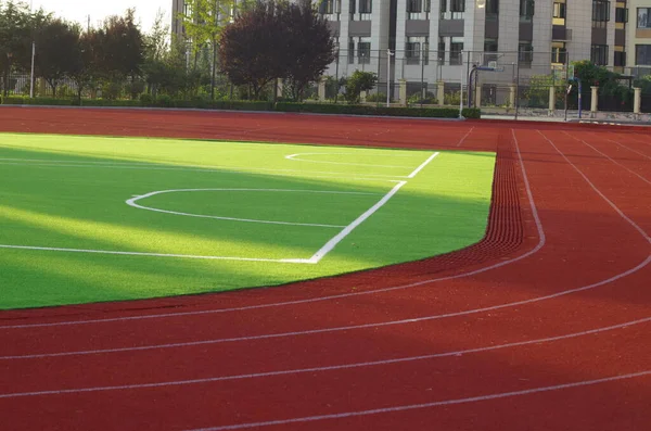 Yeşil çimenli futbol stadyumu