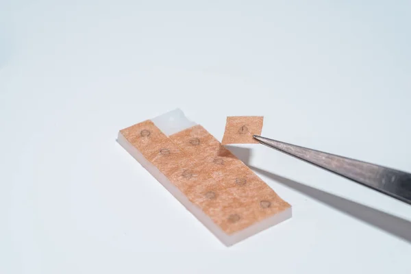 Geleneksel Çin ilaç tedavisinde kullanılan küçük bir baskı iğnesi (deri içi iğne) uygulamaya hazırlanan bir parmak.