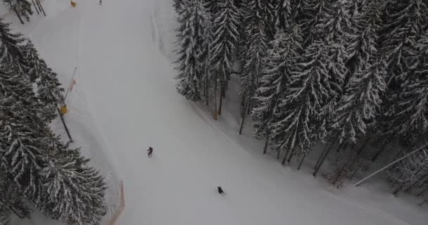 渡しと森山中にスキーヤーのスキー リゾートです。航空写真ビュー — ストック動画