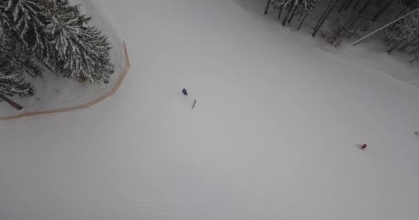 Passerar skidåkare i bergen i skogen på skidorten. Flygfoto — Stockvideo