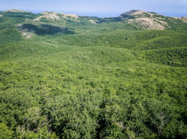 Havadan görünümü dağlar ve deniz yaz, tatil ruh hali, peyzaj