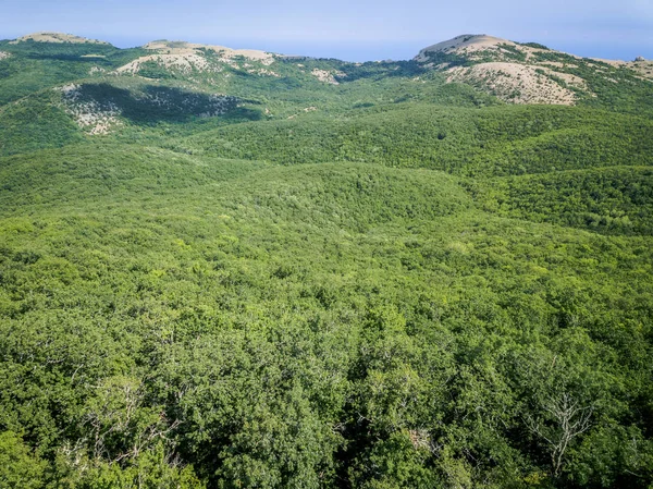 Havadan görünümü dağlar ve deniz yaz, tatil ruh hali, peyzaj
