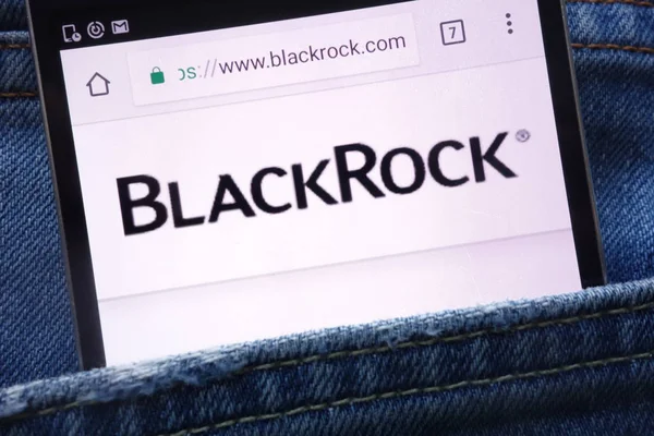 Haarlem Polen Maj 2018 Blackrock Webbplats Visas Smartphone Gömd Jeans — Stockfoto