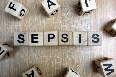Tahta bloklar sepsis Word'den üstünde okul sırası