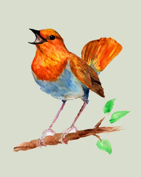 Oiseau Est Merle Fait Aquarelle — Image vectorielle