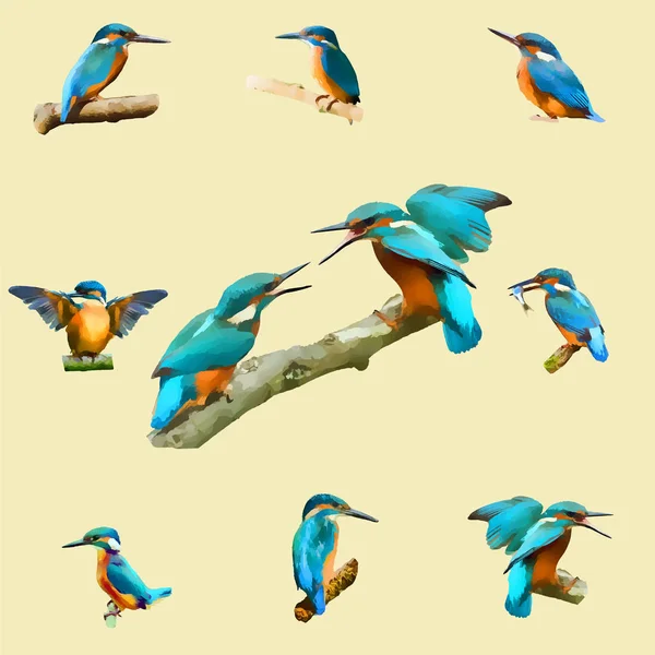 Kingfisher Πουλί Εικονογράφηση Μπλε Σχέδιο Ακουαρέλα — Διανυσματικό Αρχείο