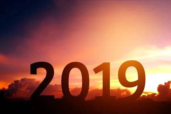Siluet Mutlu 2019 Yeni Yıl Için — Stok fotoğraf