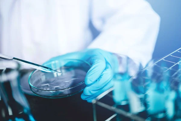 Wetenschapper Chemische Vloeistof Petrischaal Glas Laboratorium Chemische Laboratoriumtest Laboratorium Onderzoek — Stockfoto