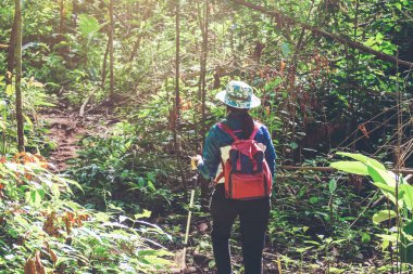 Hiking genç turist kadın ve backpacker orman seyahat kavramı
