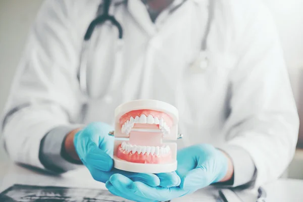 Dentysta Gospodarstwa Protezy Uczenia Się Jak Zęby Biurze — Zdjęcie stockowe