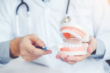 Öğrenme nasıl diş fırçalama diş hekimi