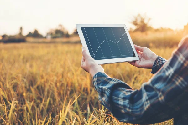 Smart Farming Agricultural Technology Organic Agriculture Woman Using Research Tablet — Stock Photo, Image