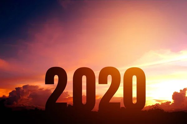 2020 frohes neues Jahr Silhouette der Zahl Neujahr Konzept — Stockfoto