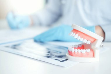 Dental protez ile dişçi öğrenme nasıl diş hekimi s ofiste