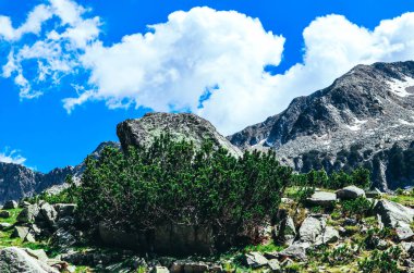Güzel alp yüksek dağları zirve, mavi gökyüzü arka plan. Cennet manzara, hiking dağ şaşırtıcı yaz.