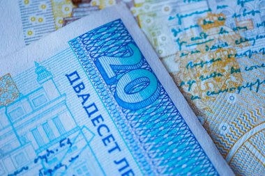 Bulgaristan para birimi Bgn banknot, 20 leva, ters tarafı, bölüm, makro.
