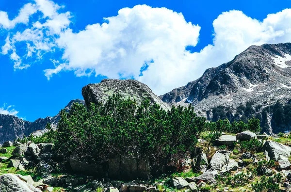 Güzel alp yüksek dağları zirve, mavi gökyüzü arka plan. Cennet manzara, hiking dağ şaşırtıcı yaz.