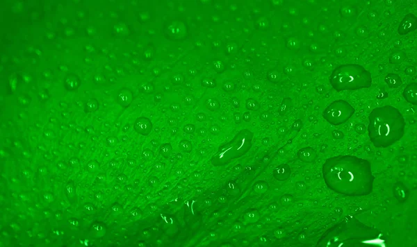 Yağmur damlaları ile ıslak renkli yeşil yaprak doku. Fotoğraf, çiğ damlacıkları ile taze doğal arka plan tasvir. Makro görünümü, yakın çekim.