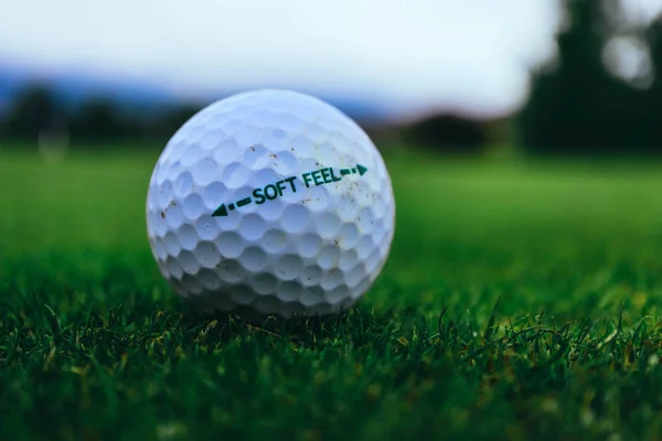 Golfbal Een Veld Groen Gras Macro Weergave — Stockfoto