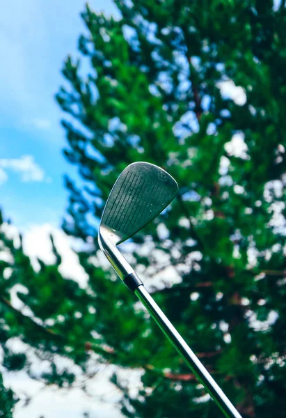 Golf Stick Sky Pine Tree Background Macro View Luxury Sport — Stock Photo, Image