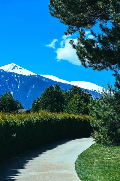 Yüksek dağlar buz tepeleri ve çam ormanı, pist parça güzel manzara.