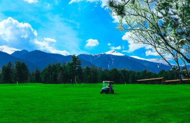 Yeşil ders alan Golf araç, lüks spor oynamak oyun yaşam tarzı kavramı.