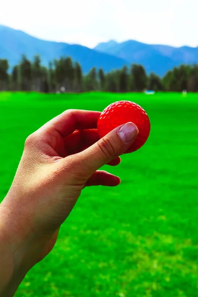 Golf red ball hold in a hand, green course grass, blue sky.