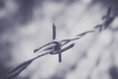 Dikenli tel kanlı degrade ile eski elektrikli çit. Terör hapishanesi kavramı. Marco manzarası.