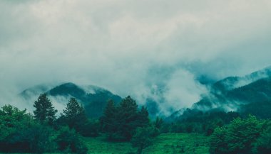 Güzel tasvir sisli bir mistik Dağları fotoğraf. Mistik ormanda, sabah sis bulutları ' ta ağaç. Avrupa, gizemli alps manzara.