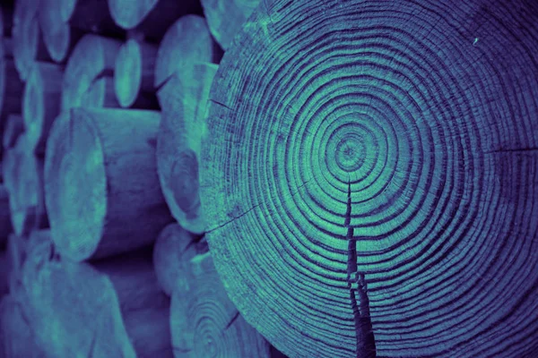 Ahşap bölümü, plan. Ahşap doku makro. Doğal ahşap mavi deniz yüzeyi arka plan.