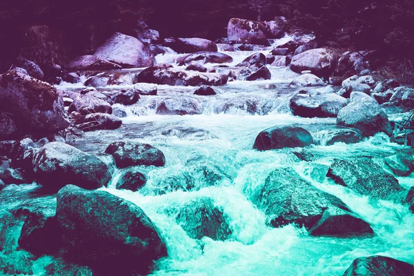Kiefernwald Fluss Fließt Durch Die Felsen Schöne Mächtige Schnelle Dampf — Stockfoto
