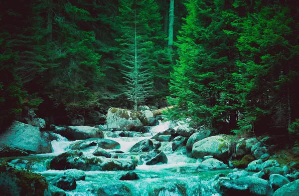 Río Bosque Pinos Fluye Través Las Rocas Hermoso Poderoso Vapor — Foto de Stock