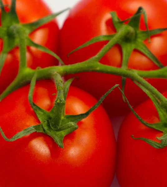 Zweig Von Frischen Roten Tomaten Foto Zeigt Eine Helle Bunte — Stockfoto