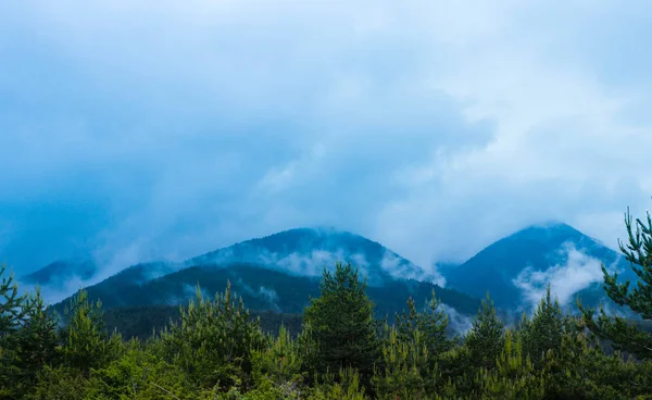 Фото Зображенням Красивою Туманний Містик Гір Туман Хмари Соснові Дерево — стокове фото