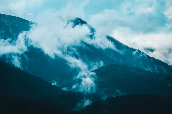 Foto Das Schöne Neblige Mystische Berge Zeigt Nebelschwaden Mystischen Kiefernwald — Stockfoto