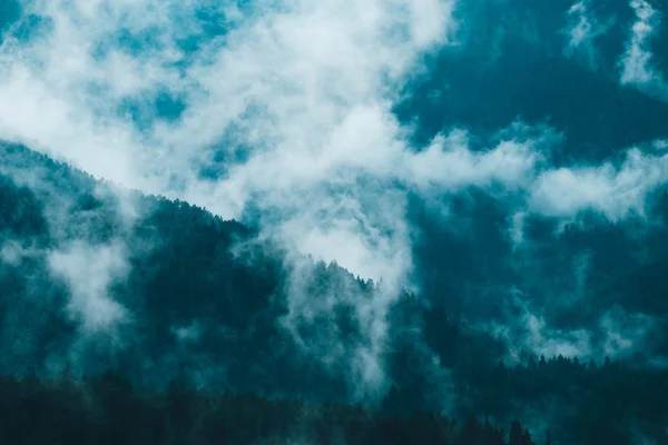 Ομιχλώδης Μυστηριακή Ορεινοι Σύννεφα Ομίχλης Πεύκο Δέντρο Μυστικιστική Ξύλα Πρωί — Φωτογραφία Αρχείου
