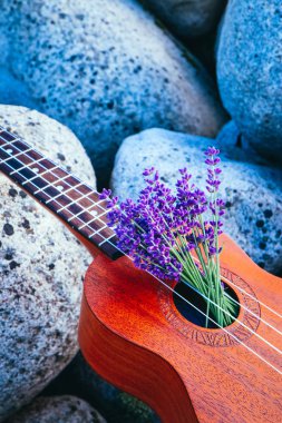 Lavanta sahada bir ukulele gitar kapatın. Müzik ve doğa kavramı.