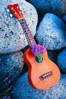 Lavanta sahada bir ukulele gitar kapatın. Müzik ve doğa kavramı.