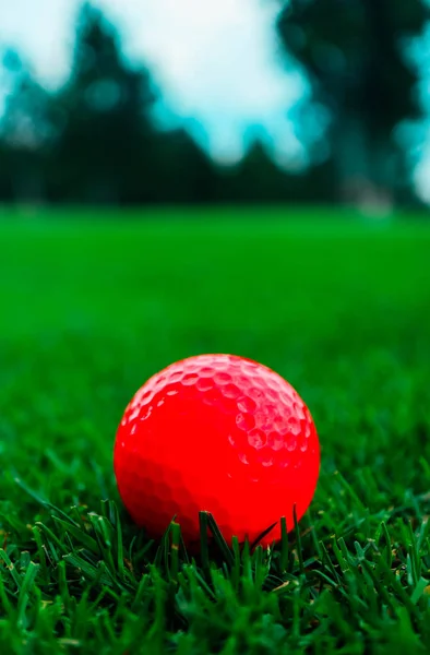 Golf Pink Ball Thick Green Grass Course Trees Blue Sky — Stock Photo, Image